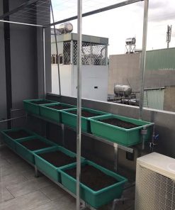 Bộ kệ trồng rau sạch 8 chậu 2 tầng