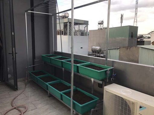 Bộ kệ trồng rau sạch 8 chậu 2 tầng