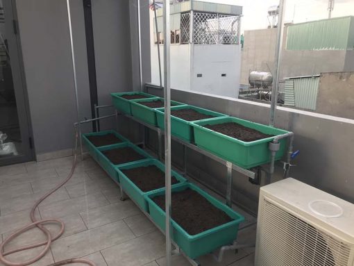 Bộ kệ trồng rau sạch 8 chậu 2 tầng