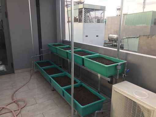 Bộ kệ trồng rau sạch 8 chậu 2 tầng