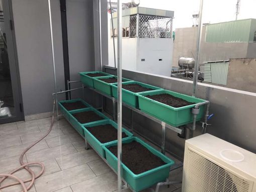 Bộ kệ trồng rau sạch 8 chậu 2 tầng