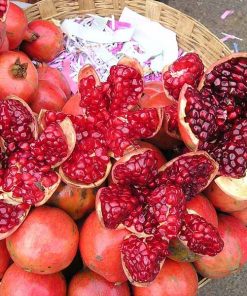 Cây giống lựu đỏ Ấn Độ