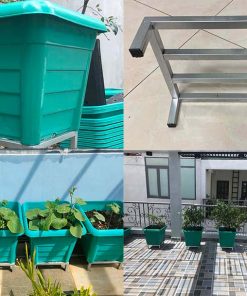 Combo chậu trồng cây leo giàn