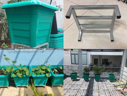 Combo chậu trồng cây leo giàn