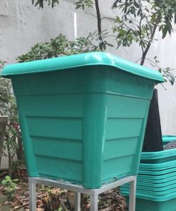 Combo chậu trồng cây leo giàn