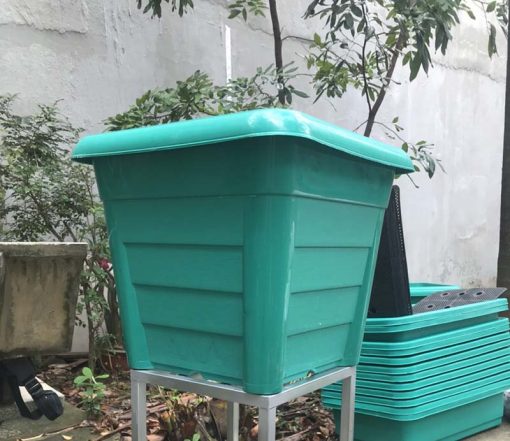Combo chậu trồng cây leo giàn
