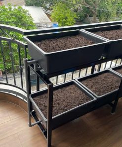 Giàn trồng rau ban công 6 khay