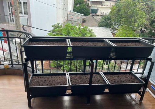 Giàn trồng rau ban công 6 khay