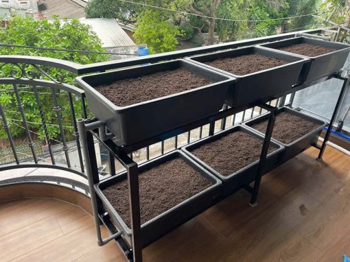 Giàn trồng rau ban công 6 khay