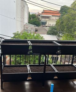 Giàn trồng rau ban công 6 khay