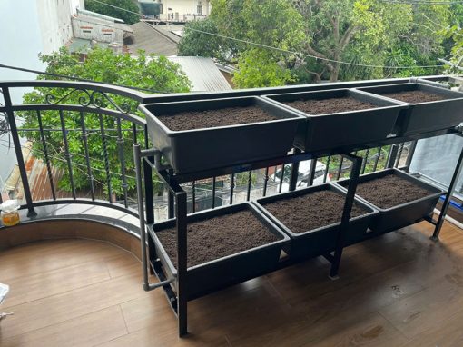 Giàn trồng rau ban công 6 khay