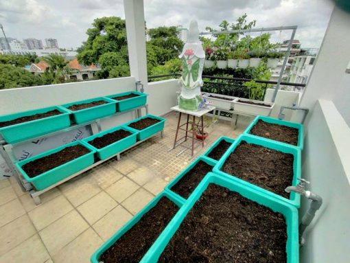 Kệ sắt trồng rau 2 tầng 6 khay