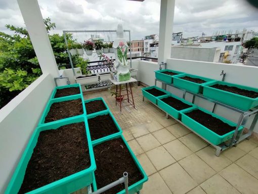 Kệ sắt trồng rau 2 tầng 6 khay
