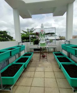 Kệ sắt trồng rau 2 tầng 6 khay