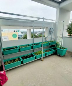 Kệ trồng rau 2 tầng 10 khay