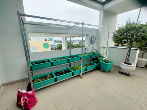 Kệ trồng rau 2 tầng 10 khay