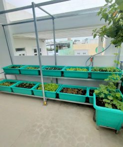 Kệ trồng rau 2 tầng 10 khay