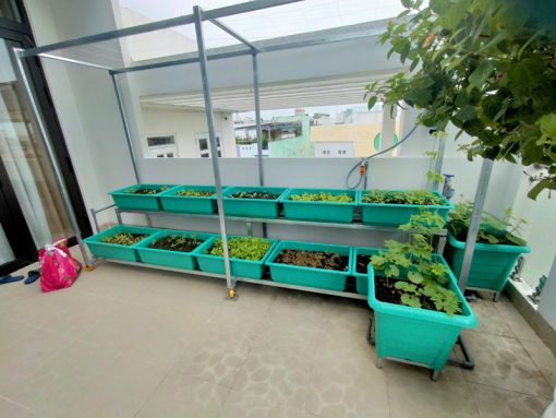 Kệ trồng rau 2 tầng 10 khay