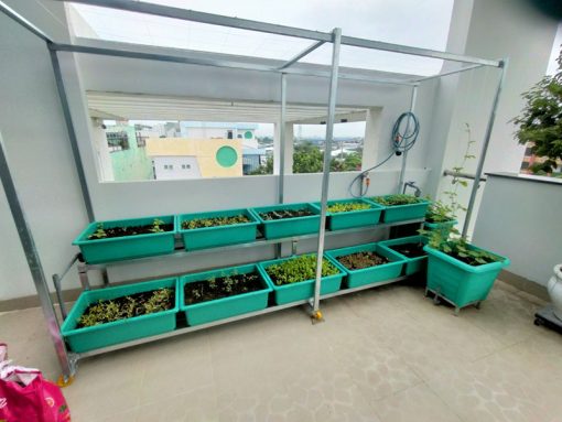 Kệ trồng rau 2 tầng 10 khay