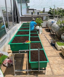 Kệ trồng rau 2 tầng 10 khay