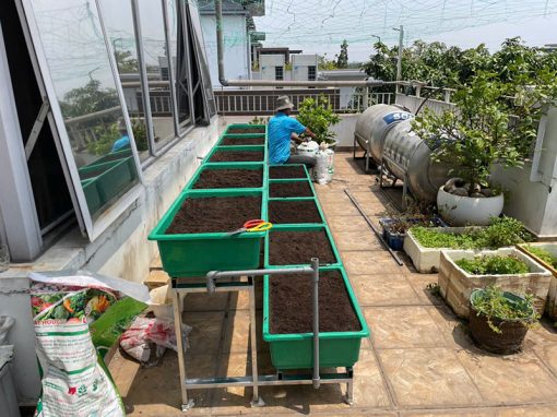 Kệ trồng rau 2 tầng 10 khay