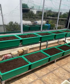 Kệ trồng rau 2 tầng 10 khay