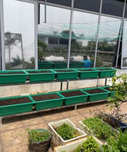 Kệ trồng rau 2 tầng 10 khay