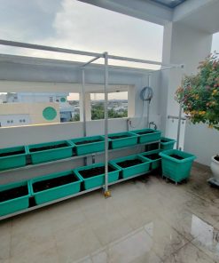 Kệ trồng rau 2 tầng 10 khay