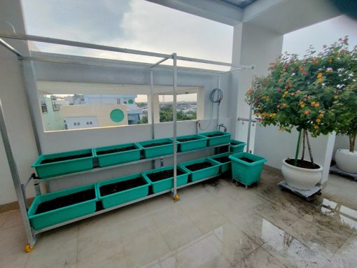 Kệ trồng rau 2 tầng 10 khay