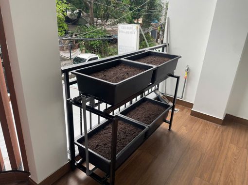 Kệ trồng rau ban công nhỏ