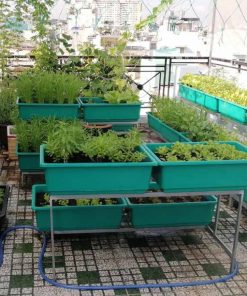 Khung kệ trồng rau bậc thang 4 khay