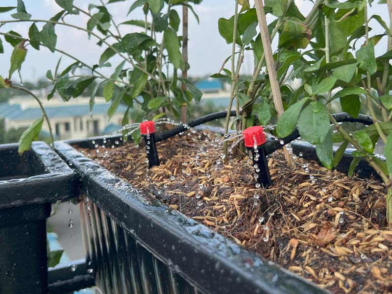 Lắp đặt hệ thống tưới cây tự động