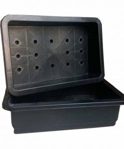 Chậu nhựa trồng rau sạch