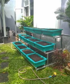 Chậu nhựa trồng rau sạch