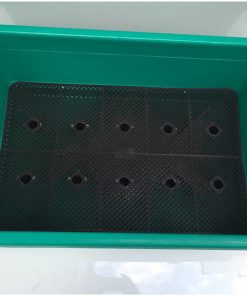 Chậu nhựa trồng rau sạch