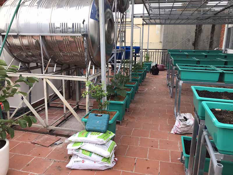 Chuẩn bị đất trồng rau