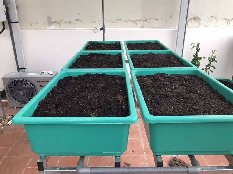 Chuẩn bị đất trồng rau