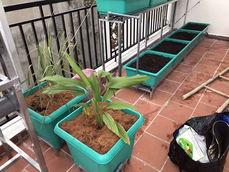 Chuẩn bị đất trồng rau