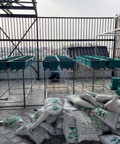 Đất vi sinh trồng rau sạch