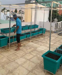 Đất vi sinh trồng rau sạch