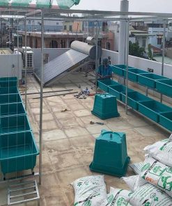 Đất vi sinh trồng rau sạch