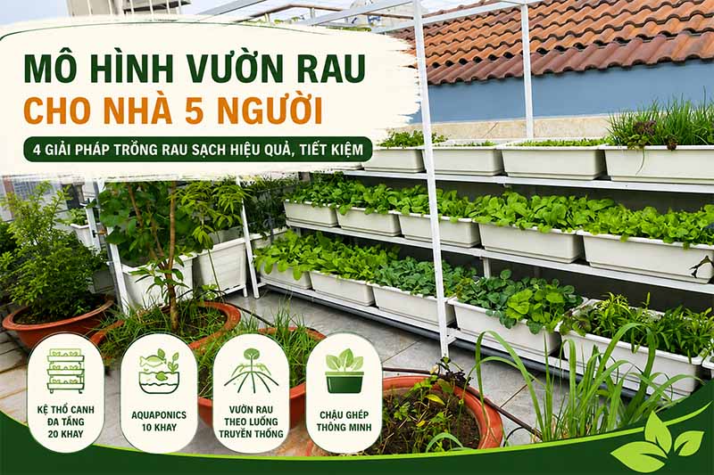 Mô hình vườn rau nhà 5 người