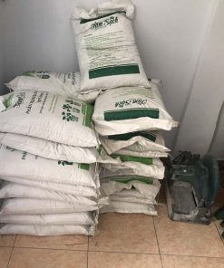 Phân trùn quế trồng rau sạch