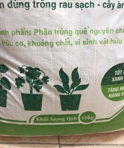 Phân trùn quế trồng rau sạch