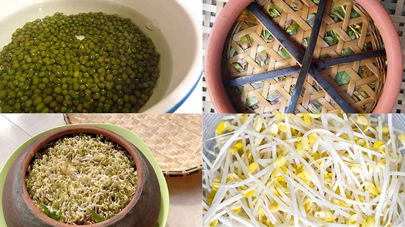 Cách trồng rau giá tại nhà
