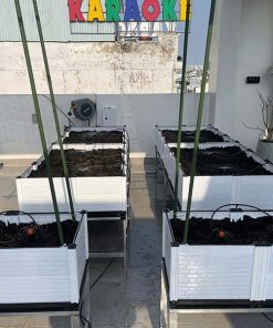 Chậu ghép trồng cây thông minh