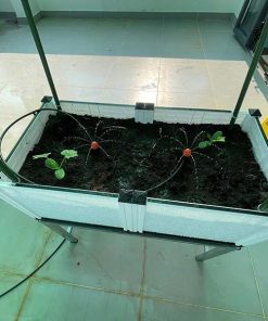 Chậu ghép trồng cây thông minh