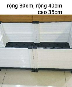 Chậu ghép trồng cây thông minh