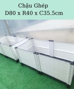 Chậu ghép trồng cây thông minh