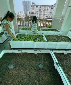 Chậu ghép trồng rau thông minh